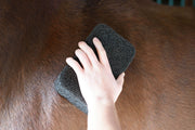 Load image into Gallery viewer, Epona Tiger&#39;s Tongue Groomer